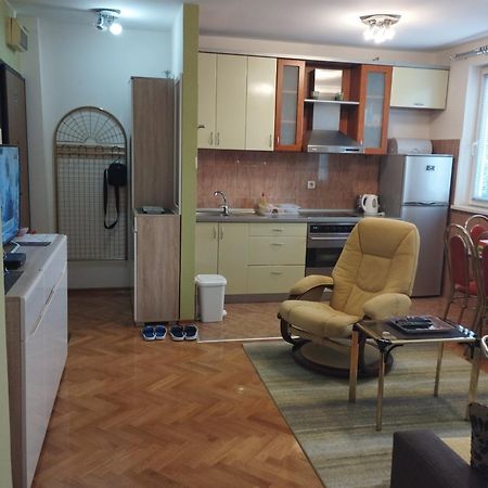 Vlado Apartment Vs بلغراد الغرفة الصورة