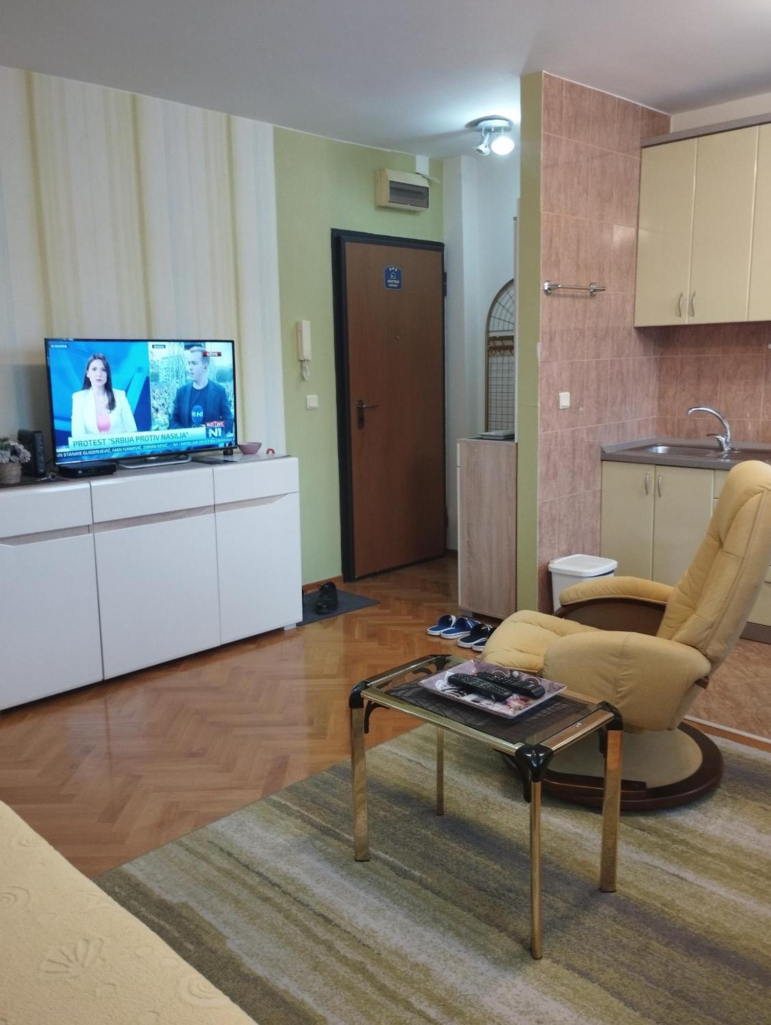 Vlado Apartment Vs بلغراد الغرفة الصورة